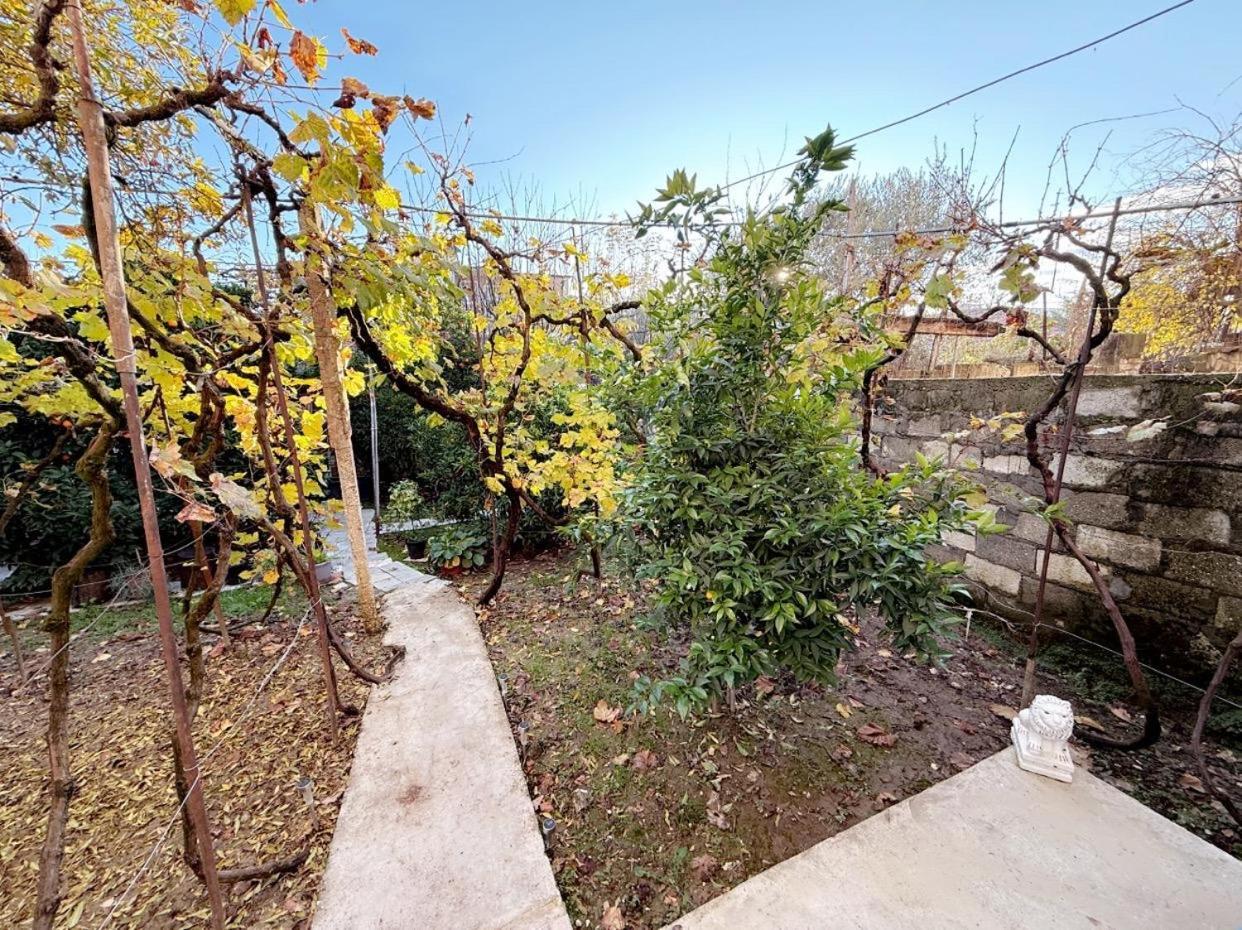 Guesthouse Albi Berat Exterior foto